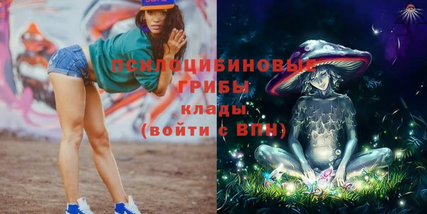 мяу мяу мука Арсеньев