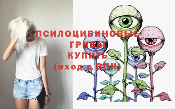 мяу мяу мука Арсеньев
