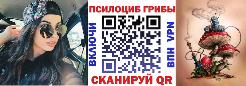 Псилоцибиновые грибы Psilocybine cubensis  купить   кракен сайт  Новозыбков 