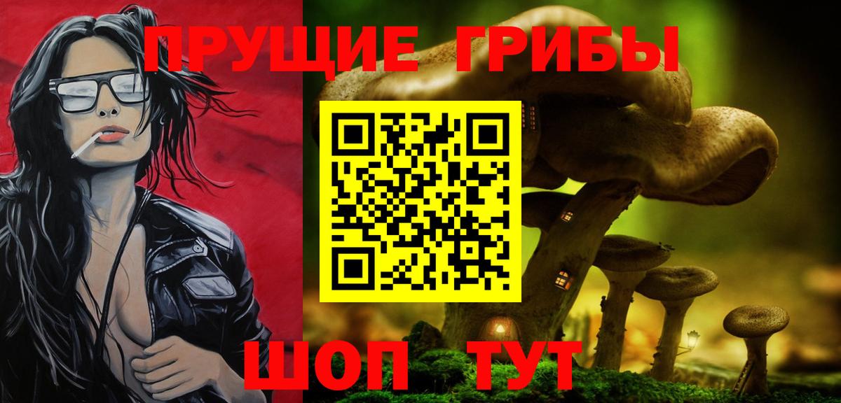 как найти закладки  Галлюциногенные грибы Magic Shrooms  Вход с VPN  Псилоцибиновые грибы ЛСД  Новозыбков 