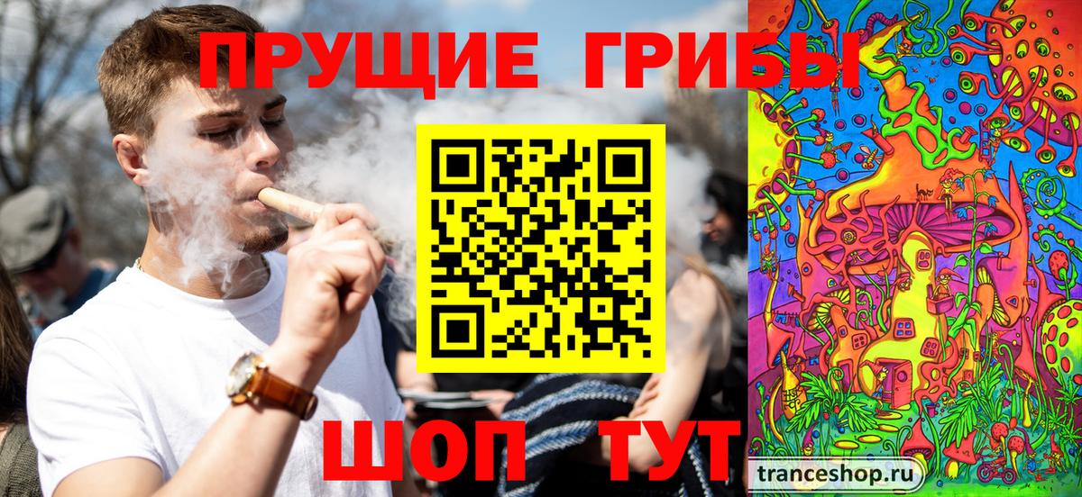 Псилоцибиновые грибы Psilocybine cubensis Новозыбков