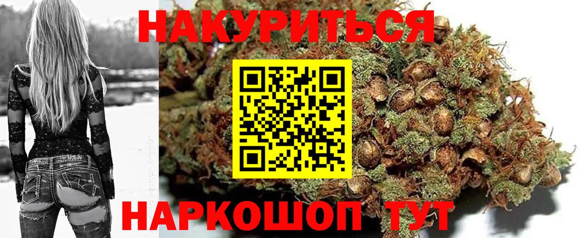 Конопля SATIVA & INDICA  Бошки марихуана семена  Новозыбков  Бошки Шишки план  Вход с VPN 